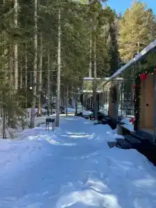 Кавказский двор - 38