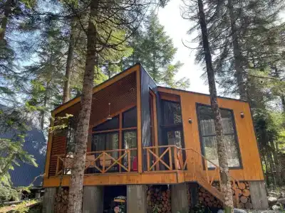 Кавказский двор - 58