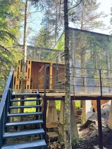 Кавказский двор - 92