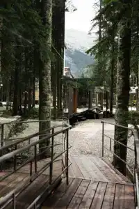 Кавказский двор - 113