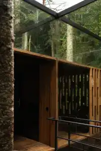 Кавказский двор - 119