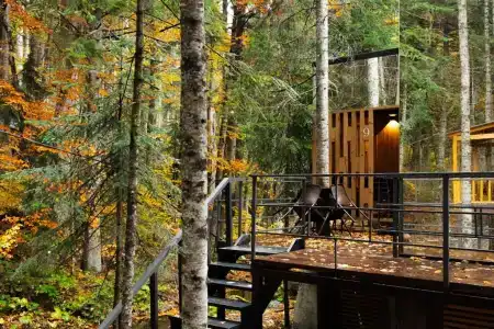 Кавказский двор - 120