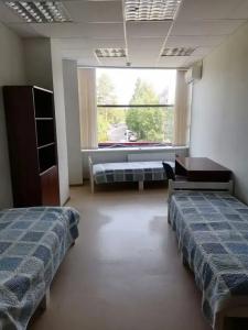 Синиранта - 12