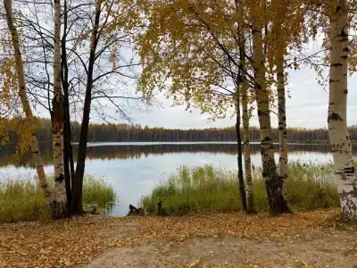 Святогор - 16