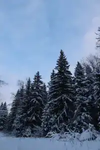 Радушие - 39