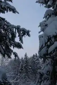 Радушие - 54