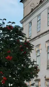 Пожва - 24