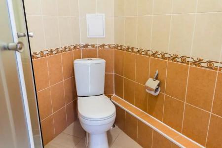 Аристоль - 25