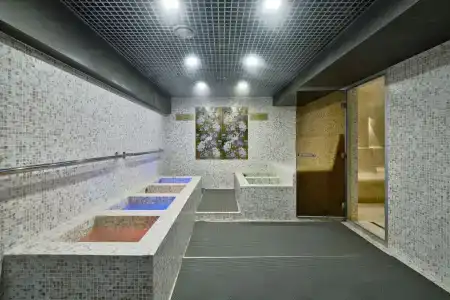 Serenity Premium apartments - 309