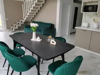 Altay dream house - 76