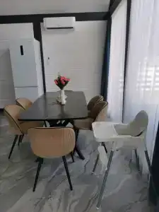 Altay dream house - 80