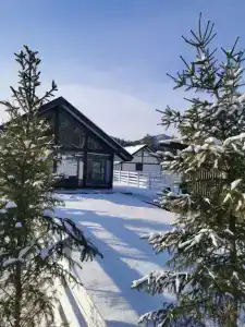 Altay dream house - 86