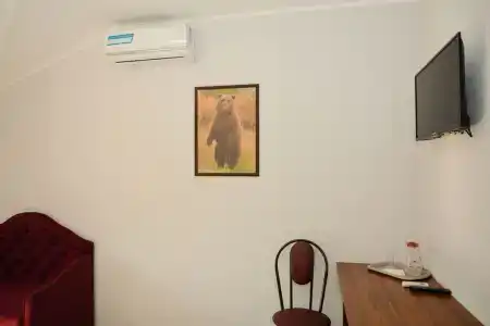 Медведефф на Пензу - 8