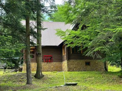 Forest - 41