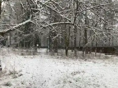 Дом творчества писателей - 29