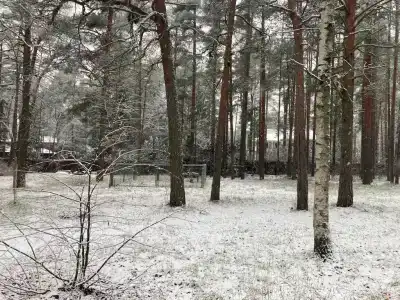 Дом творчества писателей - 45