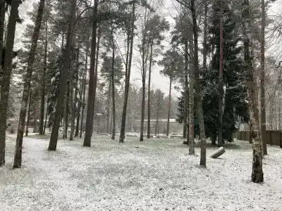 Дом творчества писателей - 49