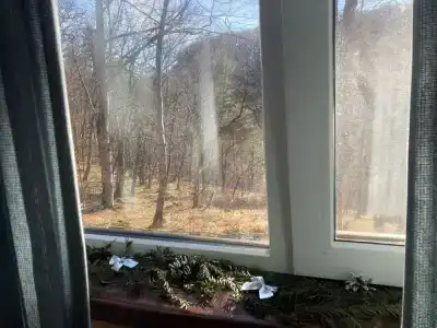 Медвежий Угол - 110