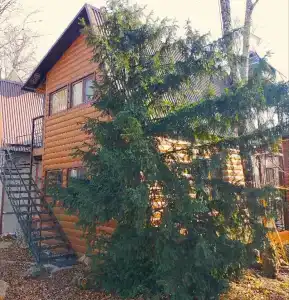 Медвежий Угол - 160
