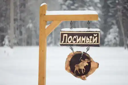 Дальний Хутор - 80