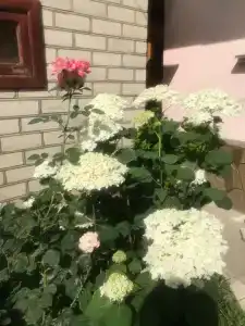 ЮГрия - 10