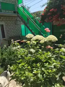 ЮГрия - 11