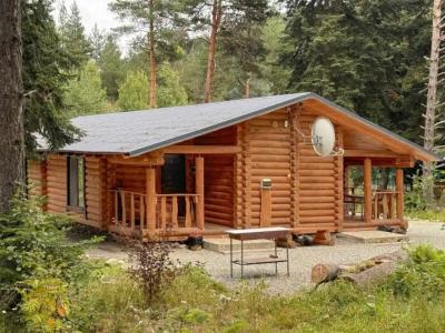Наир - 36