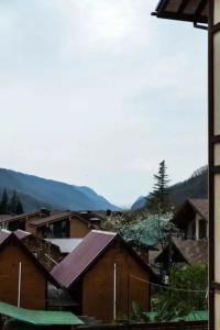 SilverPeak - 41