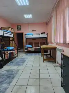 Панда - 21