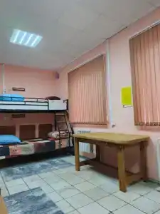 Панда - 23