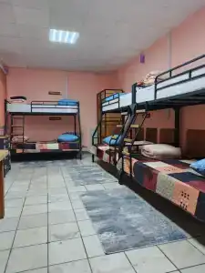 Панда - 20