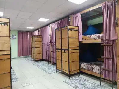 Панда - 24