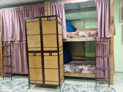 Панда - 30