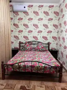 Эдветан - 25
