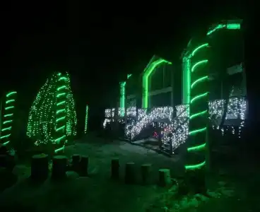 7 Звезд - 12