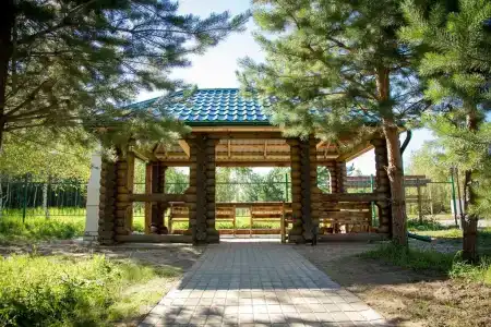 Лесной ключ - 119