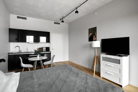 SV loft - 265