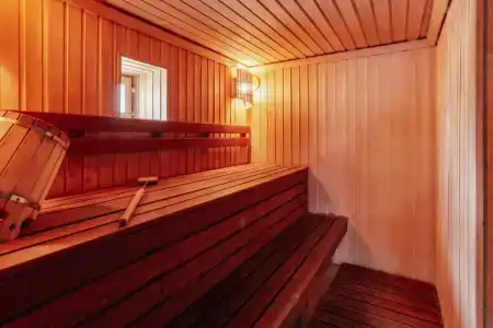 Iva Тенистая - 41