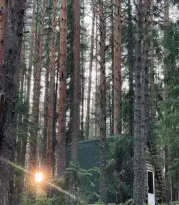 Бор - 30