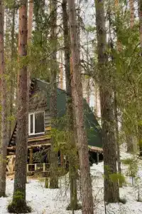Бор - 16