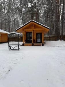 Древо - 24