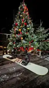 Fairy Fir Eco Retrit - 23