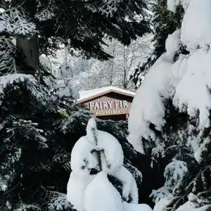 Fairy Fir Eco Retrit - 32