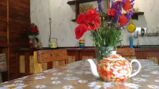 СимСим - 2