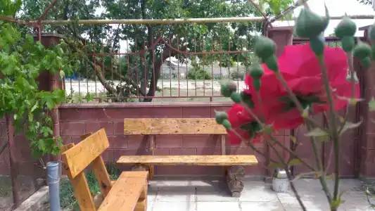 СимСим - 4