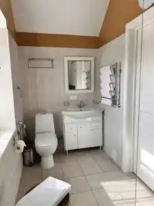 Белый филин - 32