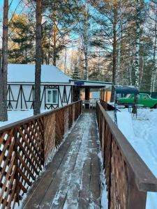 Белая сова - 51