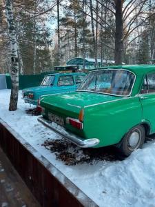 Белая сова - 52