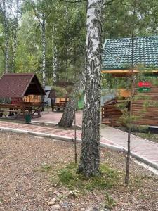 Белая сова - 90