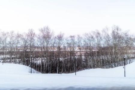 Nort - 396